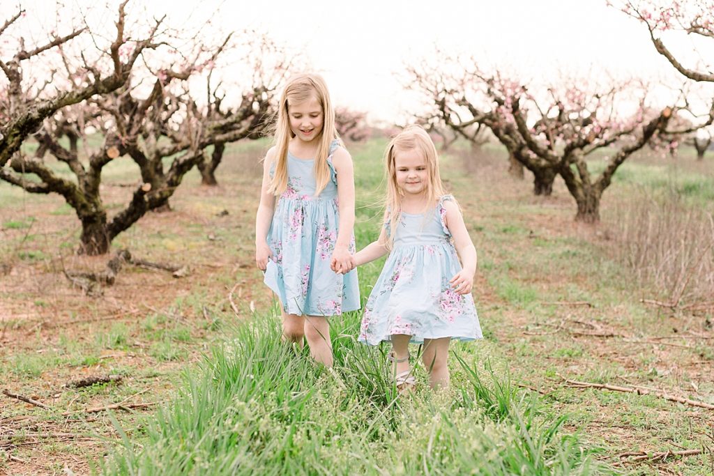 Children walk through peach trees at Gregg Farms in Concord GA