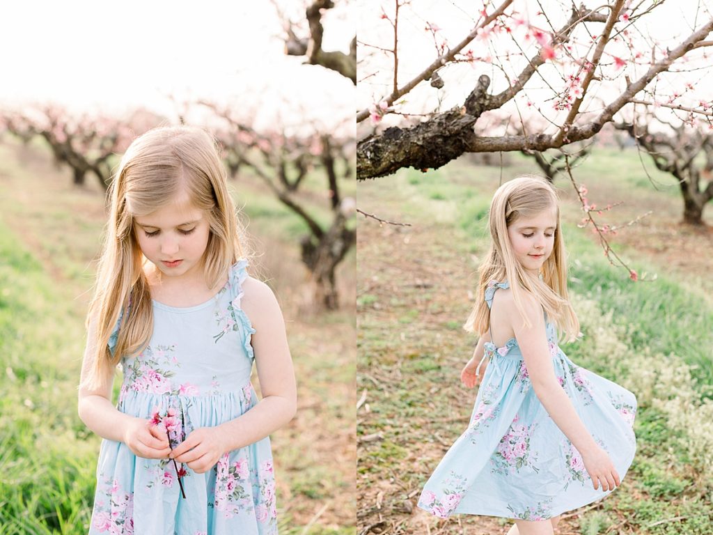 Little girl dances through peach trees at Gregg Farms in Concord GA