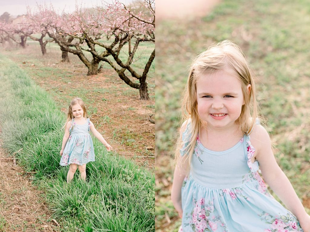 Little girl poses among peach trees at Gregg Farms in Concord GA